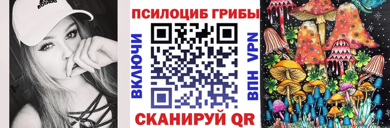 дарк нет какой сайт  KRAKEN tor  Псилоцибиновые грибы GOLDEN TEACHER  Кремёнки  где найти  